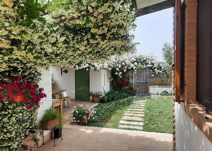 Podere Miama Holiday home